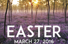 Easter 2016 Postcards