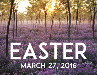 Easter 2016 Postcards