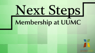 Next Steps Web Banner