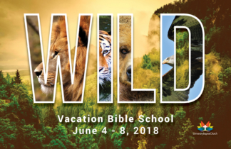 Going into the Wild VBS 2018 Postcard